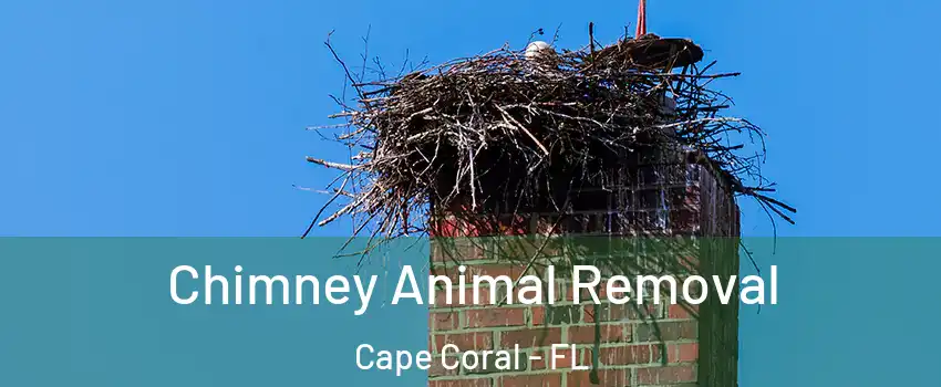 Chimney Animal Removal Cape Coral - FL