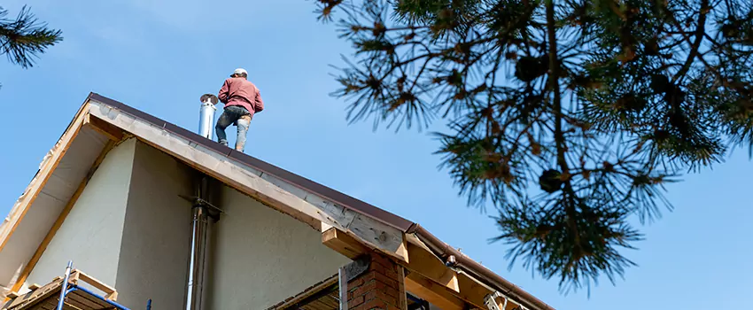 Birds Removal Contractors from Chimney in Cape Coral, FL
